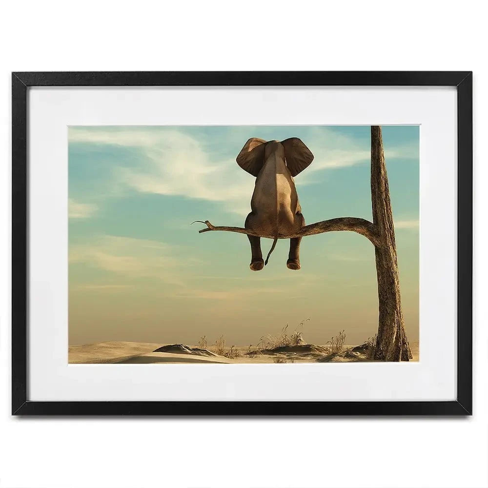 Sitting Elephant Framed Art Print