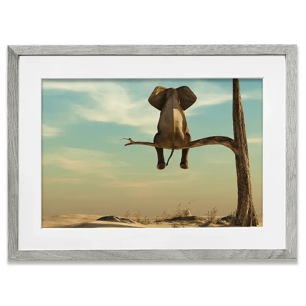 Sitting Elephant Framed Art Print