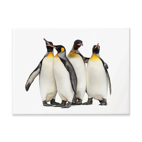 Penguin Gang Canvas Print