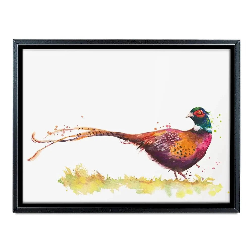 Pleasant Pheasant Canvas Print