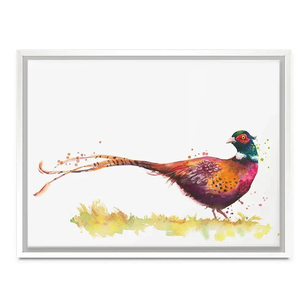 Pleasant Pheasant Canvas Print