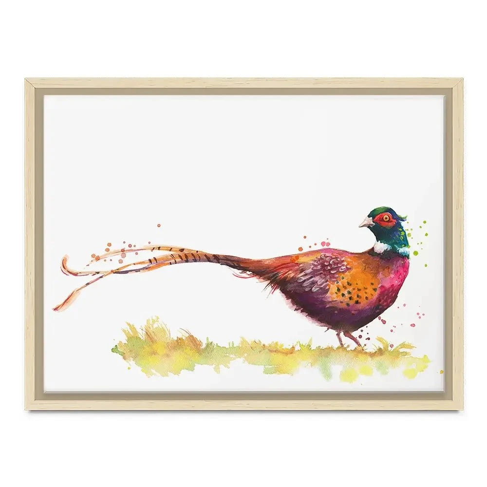 Pleasant Pheasant Canvas Print