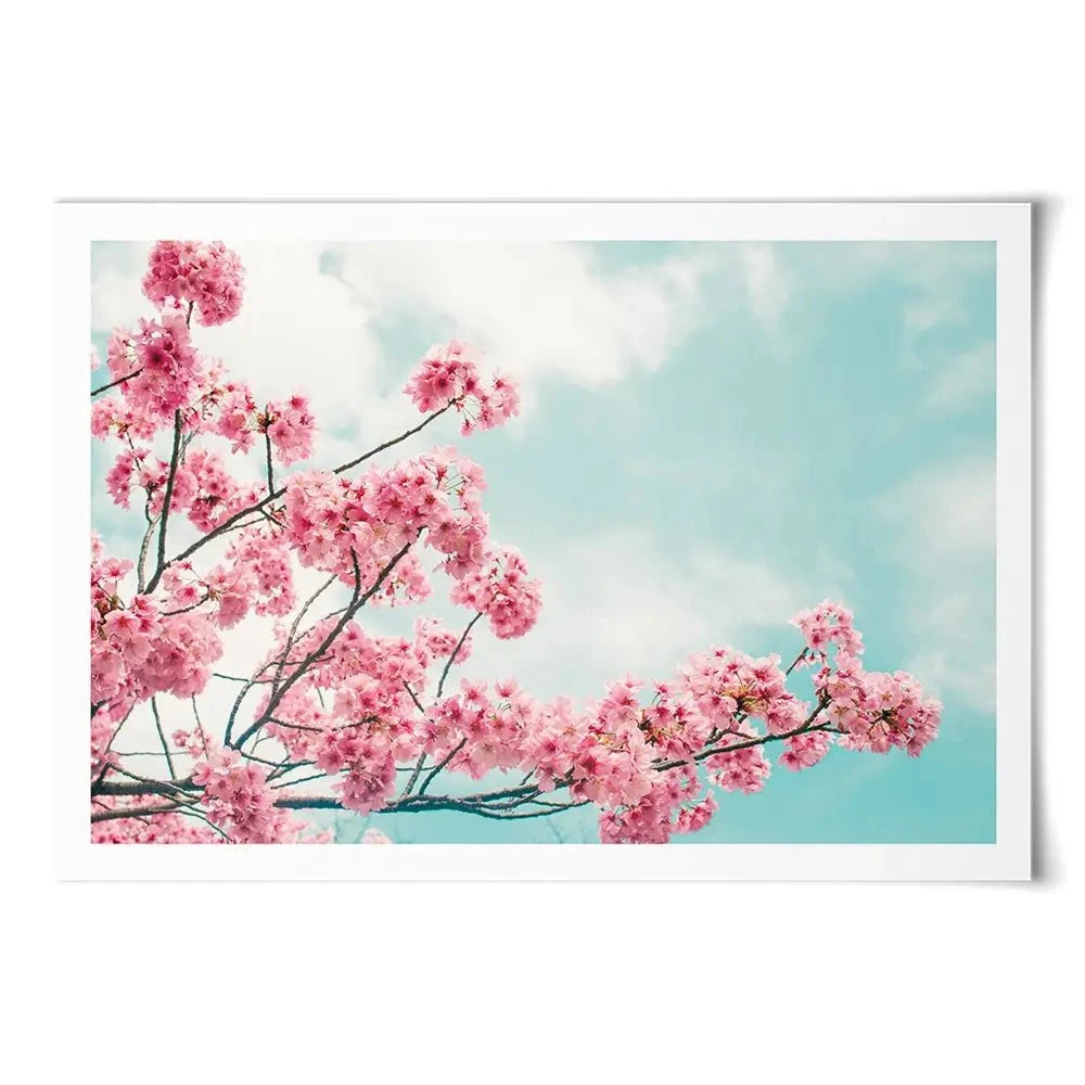 Cherry Blossom Art Print