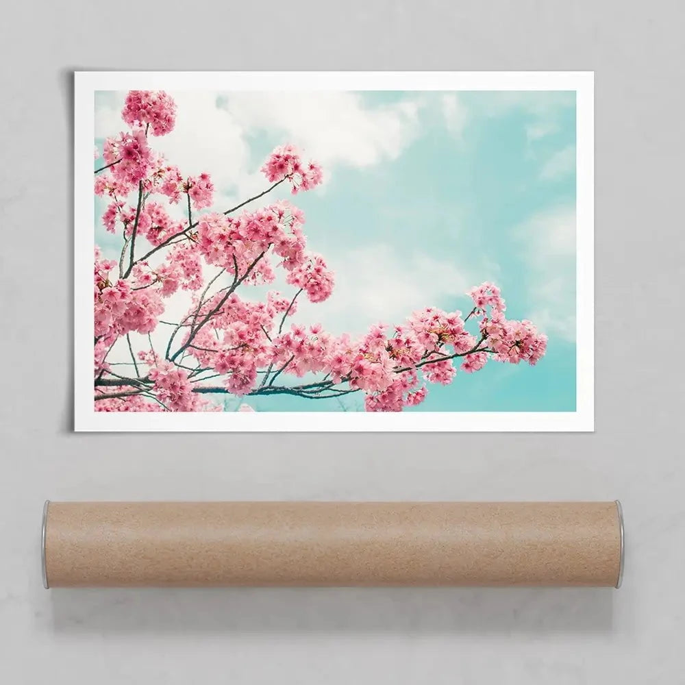 Cherry Blossom Art Print