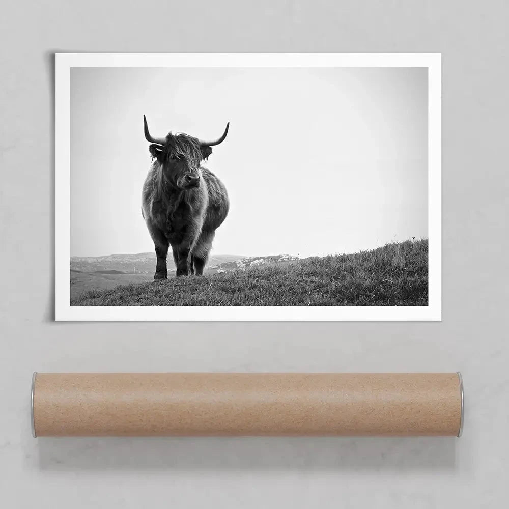 Highland Cow In The Distance Art Print
