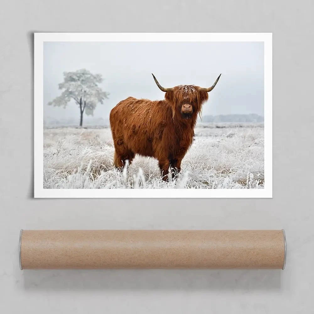 Winter Cow Art Print