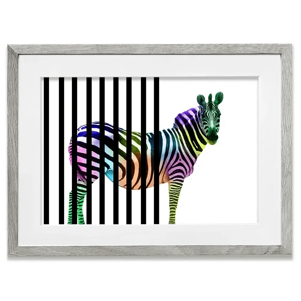 Zebra Behind Bars Framed Art Print