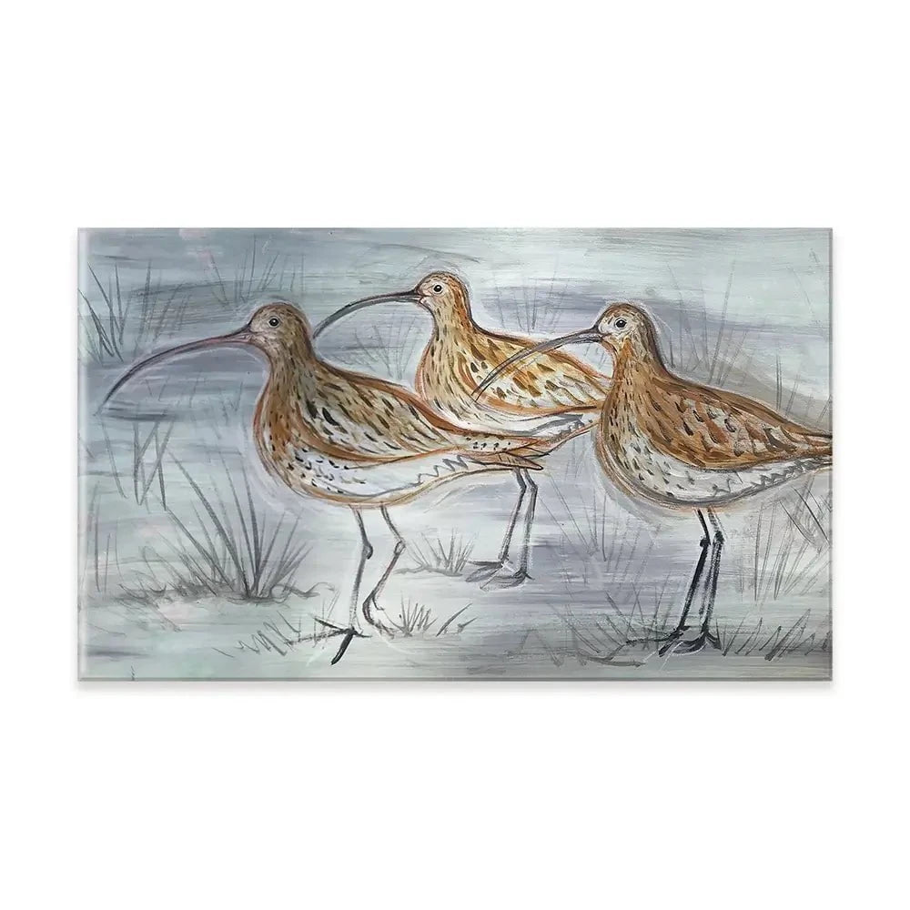 Three Curlews Canvas Print