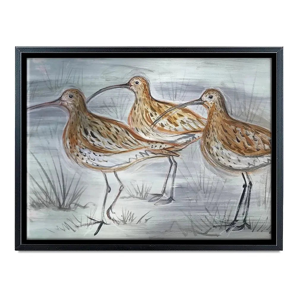 Three Curlews Canvas Print