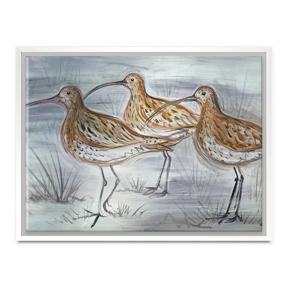 Three Curlews Canvas Print