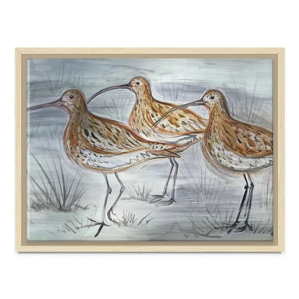 Three Curlews Canvas Print