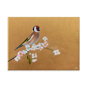 Goldfinch On Cherry Blossom Canvas Print