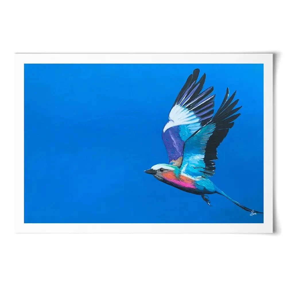 Lilac Breasted Roller In Flight Art Print
