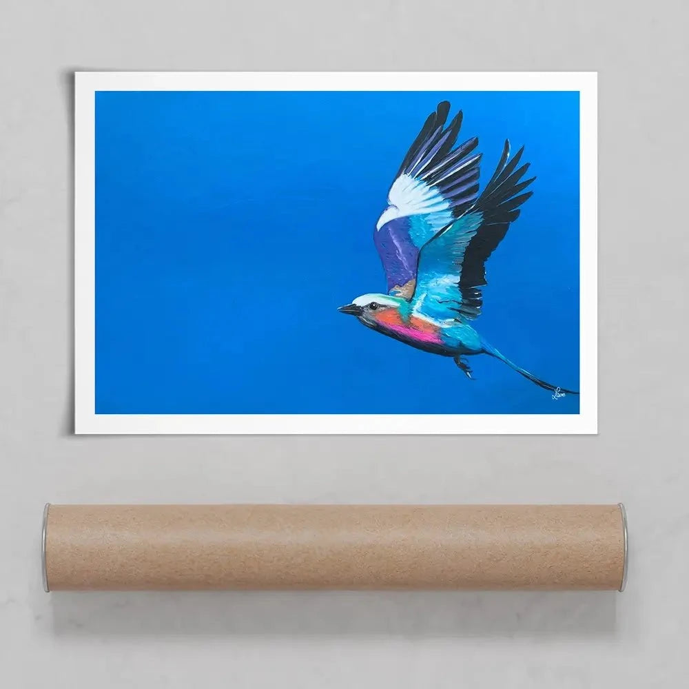 Lilac Breasted Roller In Flight Art Print