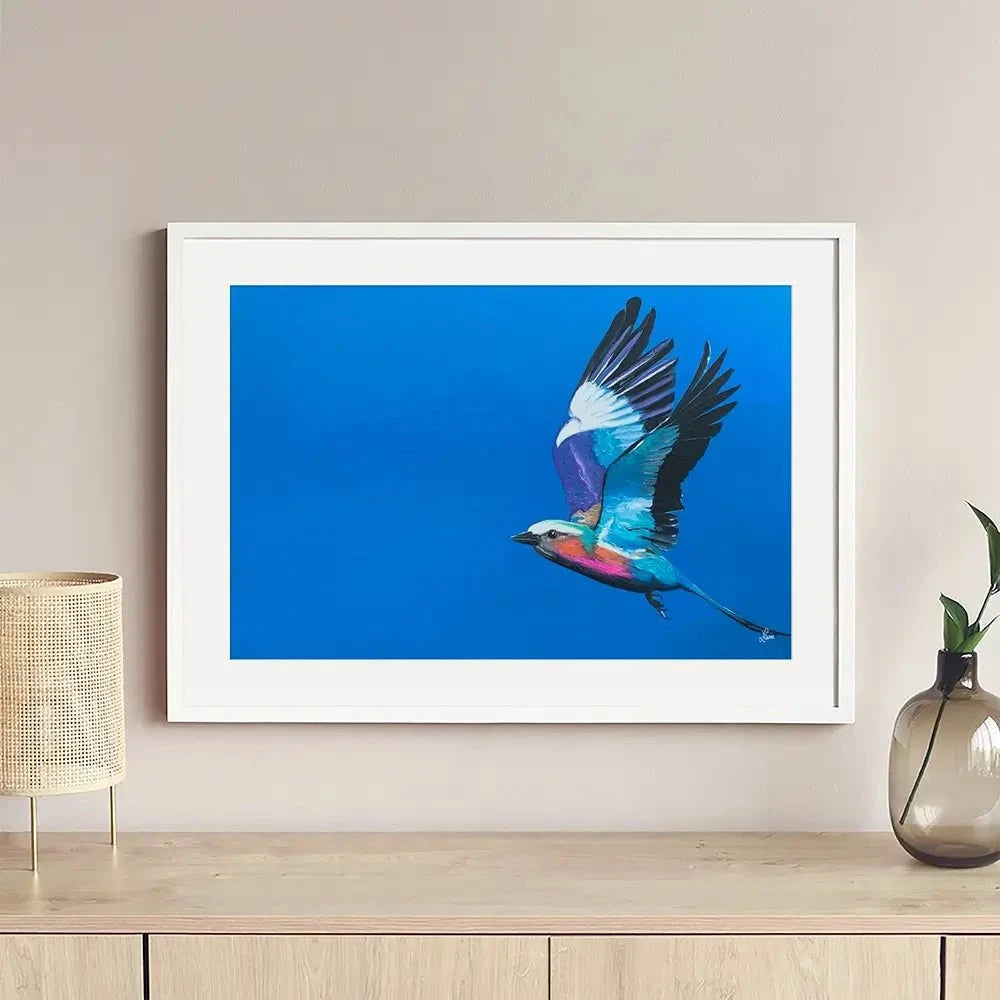 Lilac Breasted Roller In Flight Framed Art Print