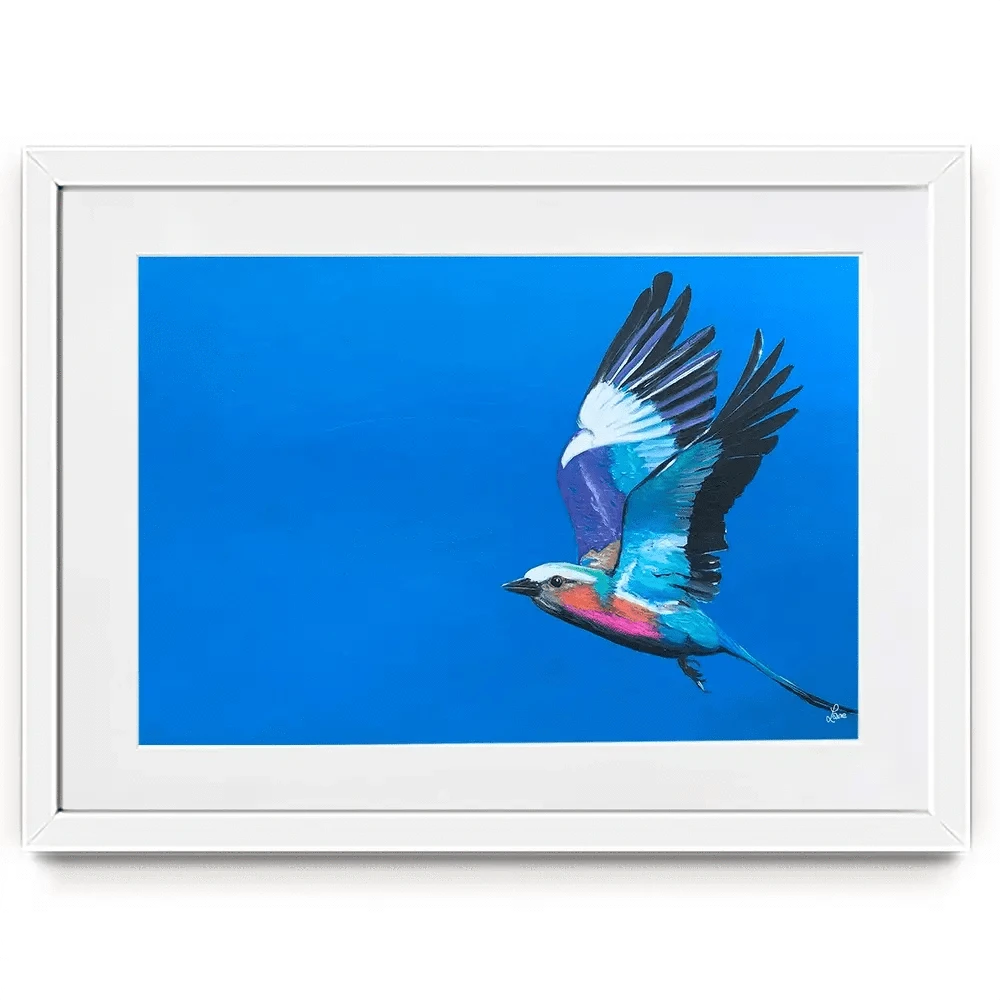 Lilac Breasted Roller In Flight Framed Art Print