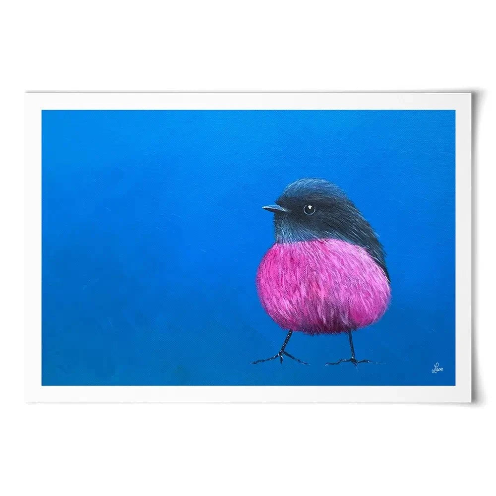 Pink Robin Art Print