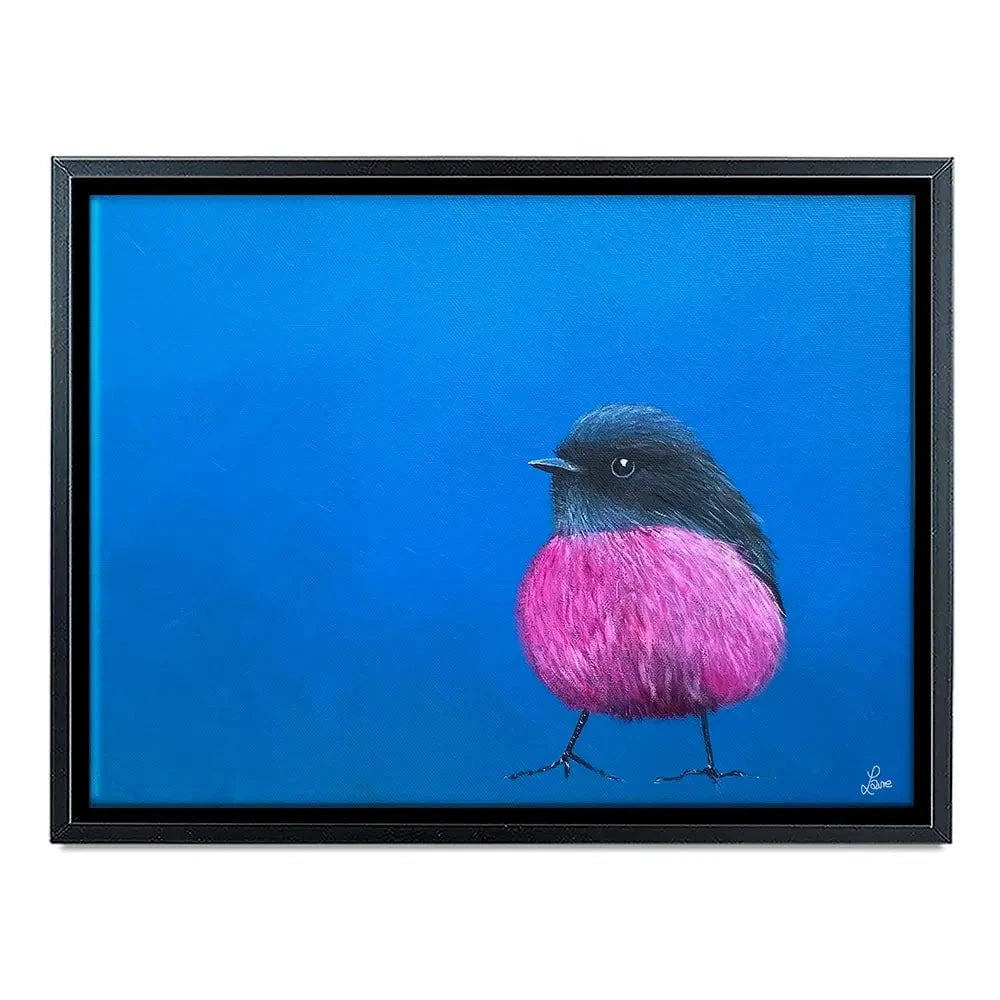 Pink Robin Canvas Print