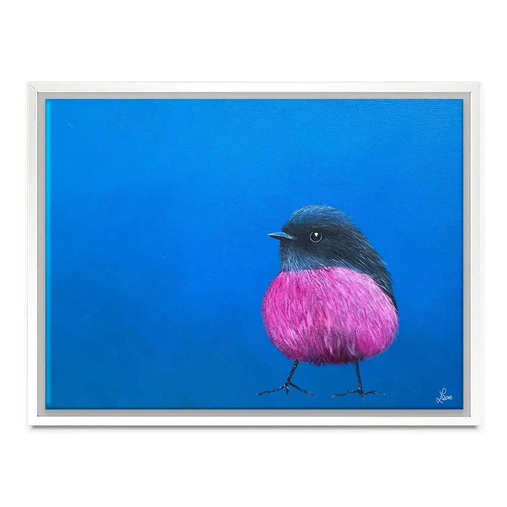 Pink Robin Canvas Print
