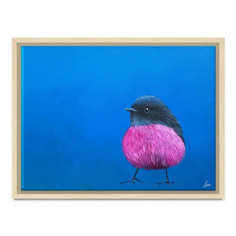Pink Robin Canvas Print