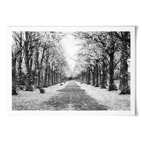 Winters Walk Art Print