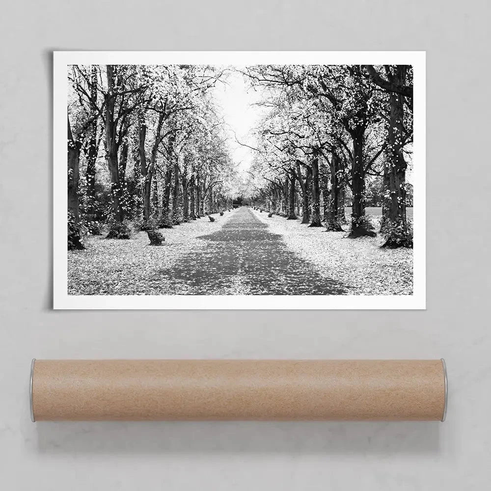 Winters Walk Art Print