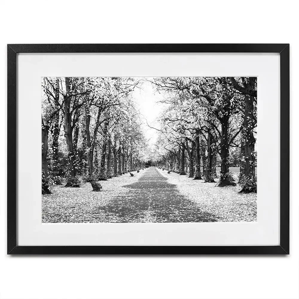 Winters Walk Framed Art Print