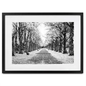 Winters Walk Framed Art Print