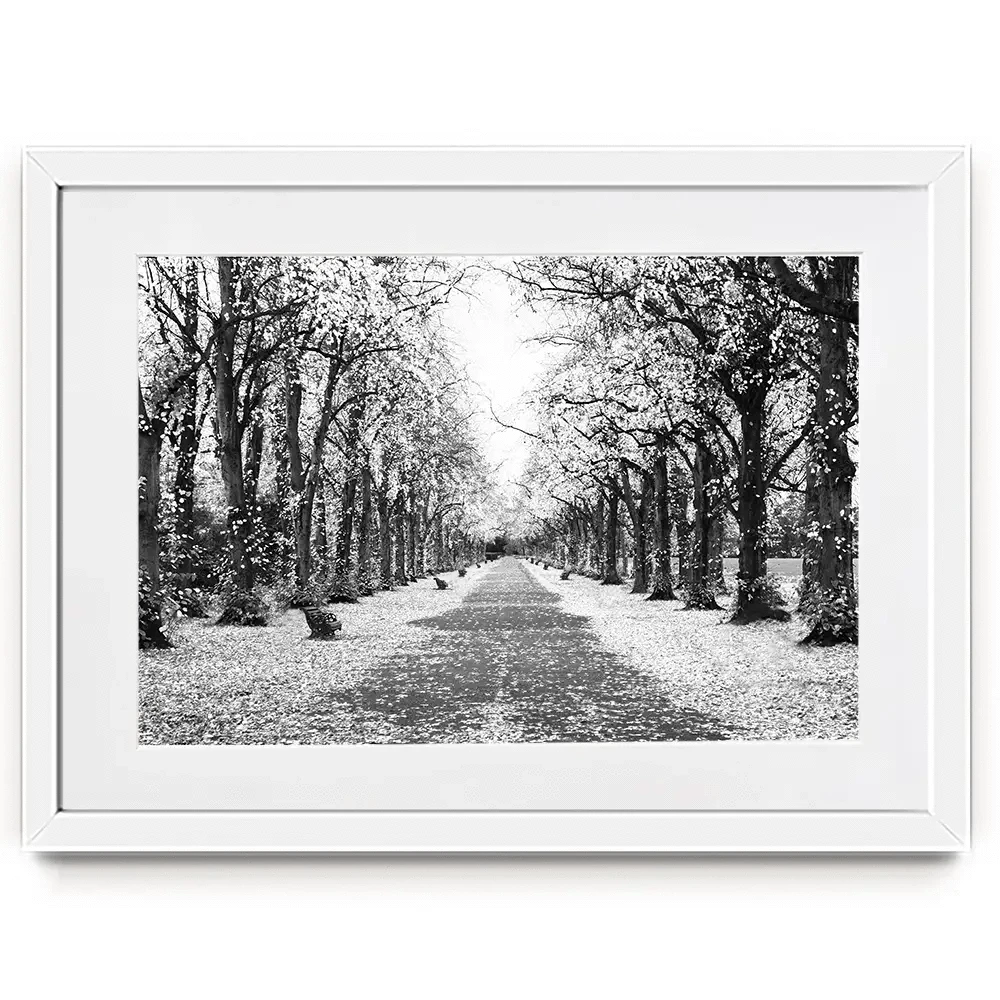 Winters Walk Framed Art Print