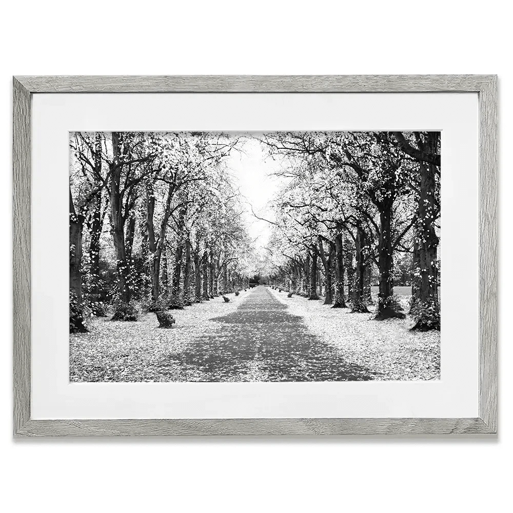 Winters Walk Framed Art Print