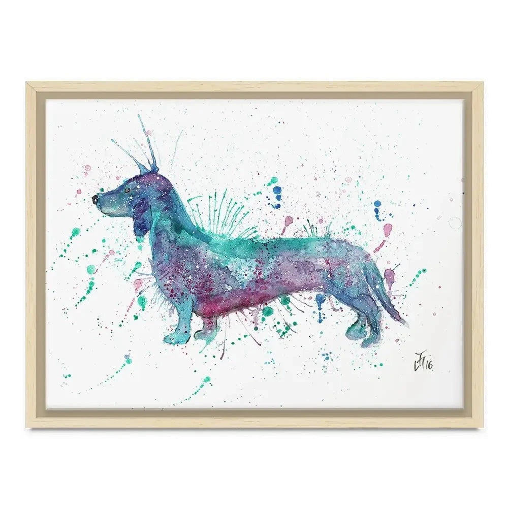 Mr Sausage Dog Canvas Print