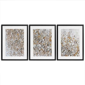 Sophisticated Celebration Framed Art Print Trio