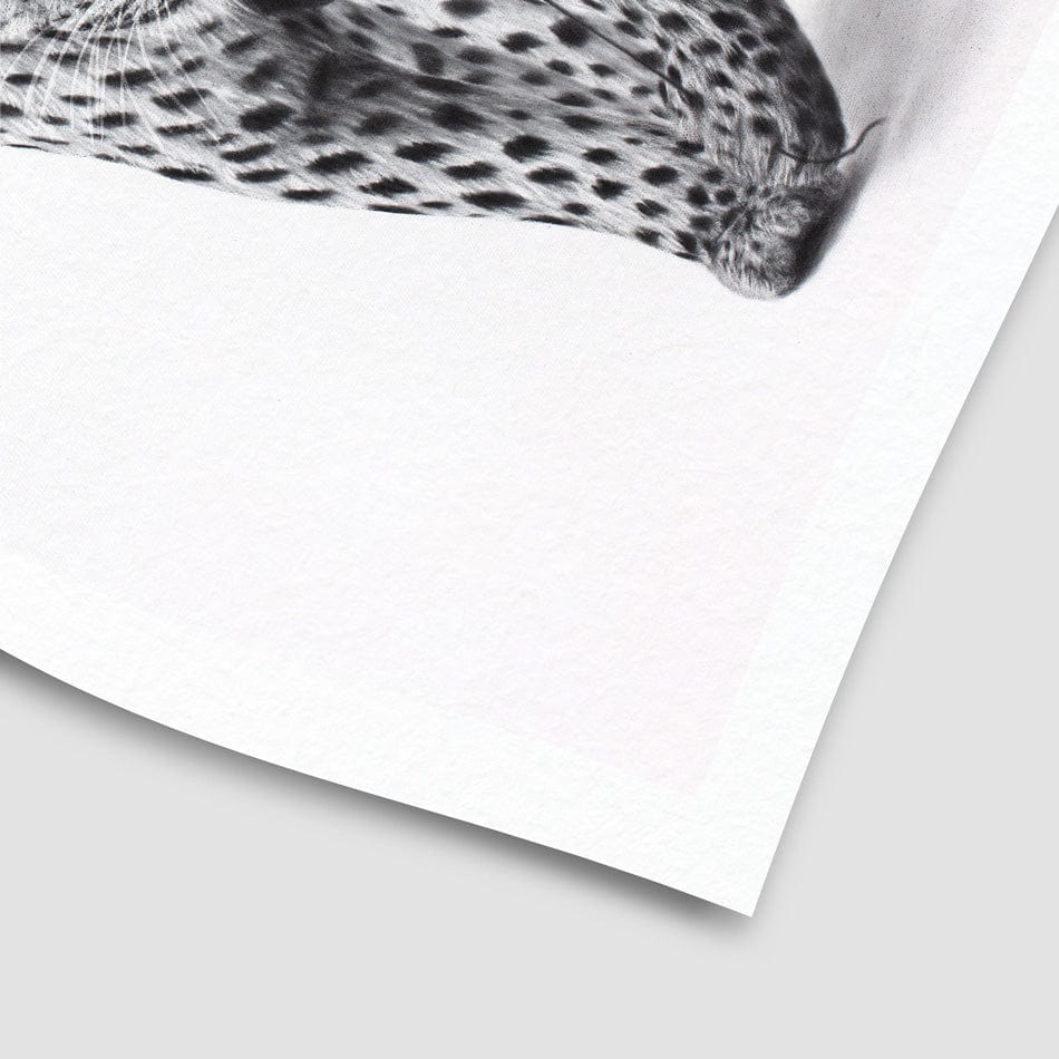 A Leopards World Art Print wall art product Ashvin Harrison