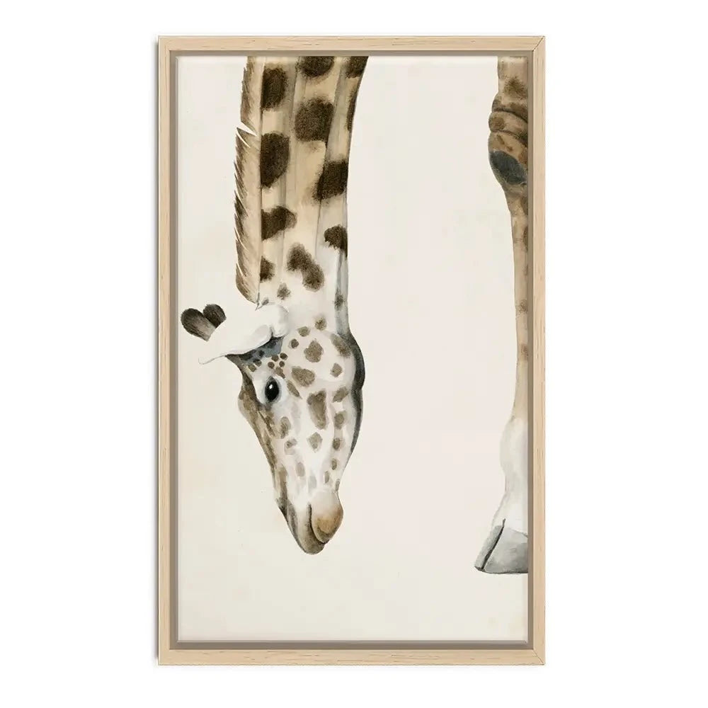 At Your Feet Canvas Print At Your Feet Canvas Print wall art product Grace Popp