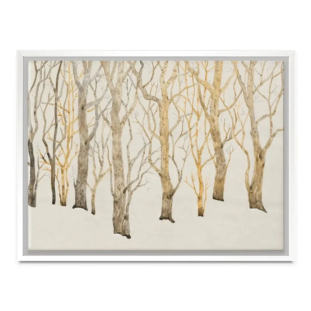 Bare Trees Canvas Print Bare Trees Canvas Print wall art product Tim O'Toole