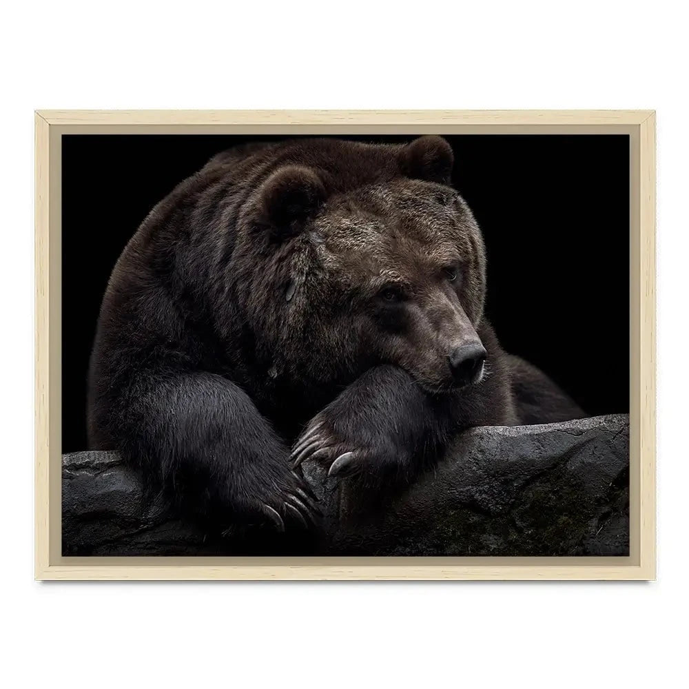 Bear Canvas Print Bear Canvas Print wall art product Thomas Marx / Shutterstock