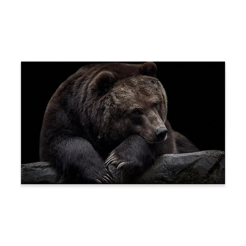 Bear Canvas Print Bear Canvas Print wall art product Thomas Marx / Shutterstock