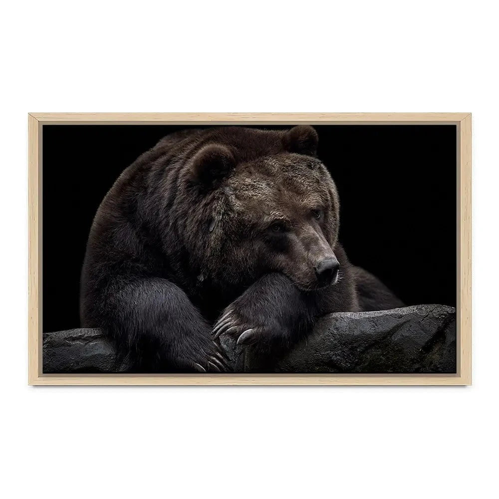 Bear Canvas Print Bear Canvas Print wall art product Thomas Marx / Shutterstock