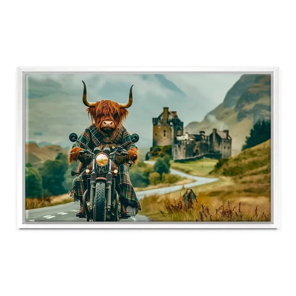 Biker Coo Canvas Print Biker Coo Canvas Print wall art product David Alexander Elder