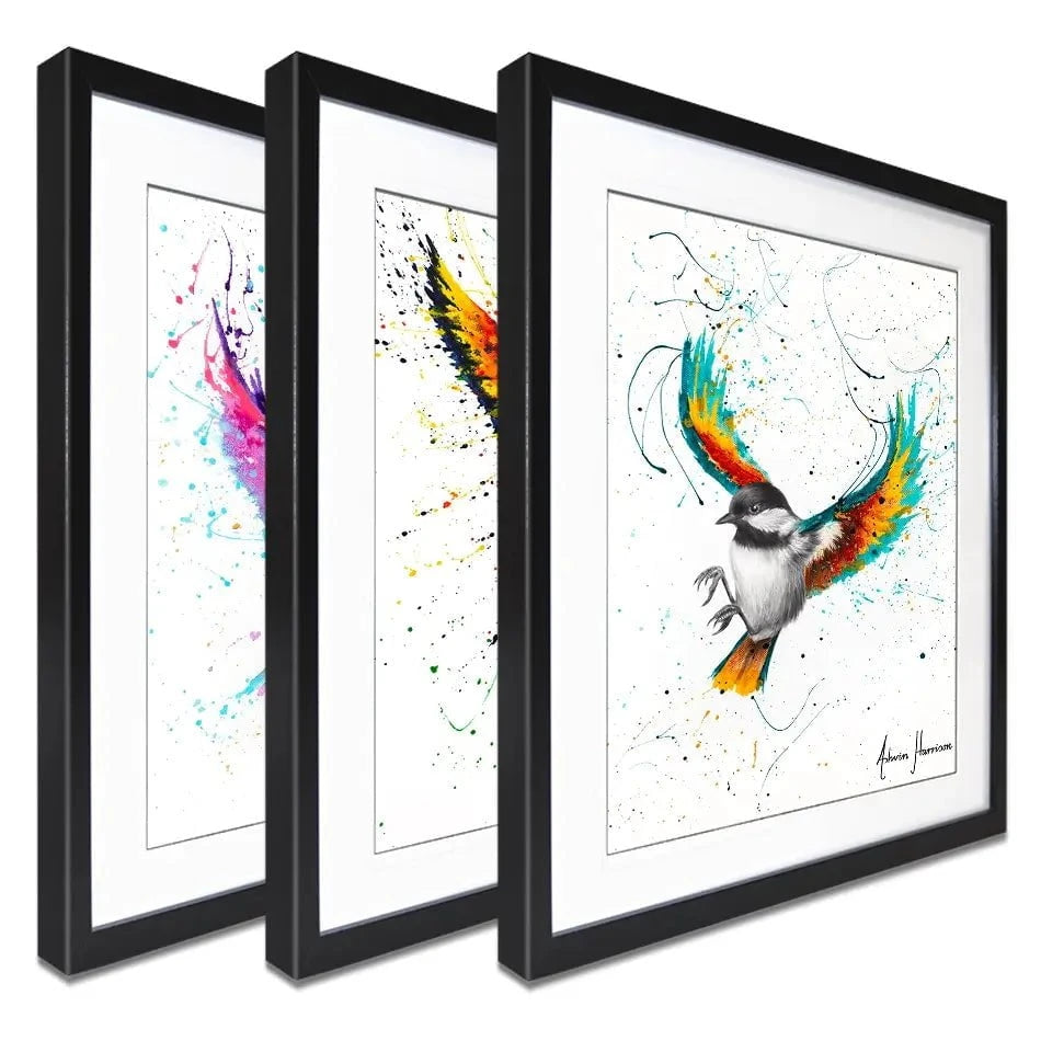 Birds Framed Art Print Trio Birds Framed Art Print Trio wall art product Ashvin Harrison