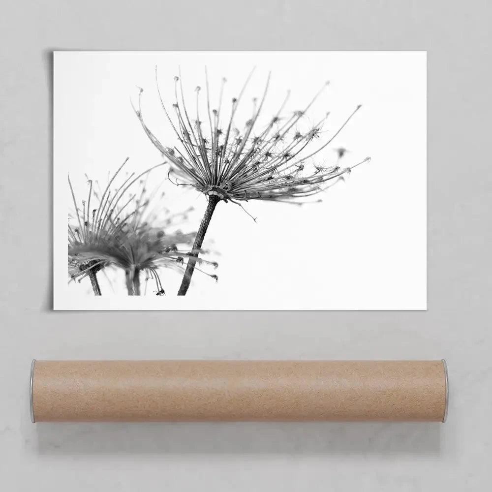 Black And White Dandelions Art Print Black And White Dandelions Art Print wall art product Dubova / Shutterstock