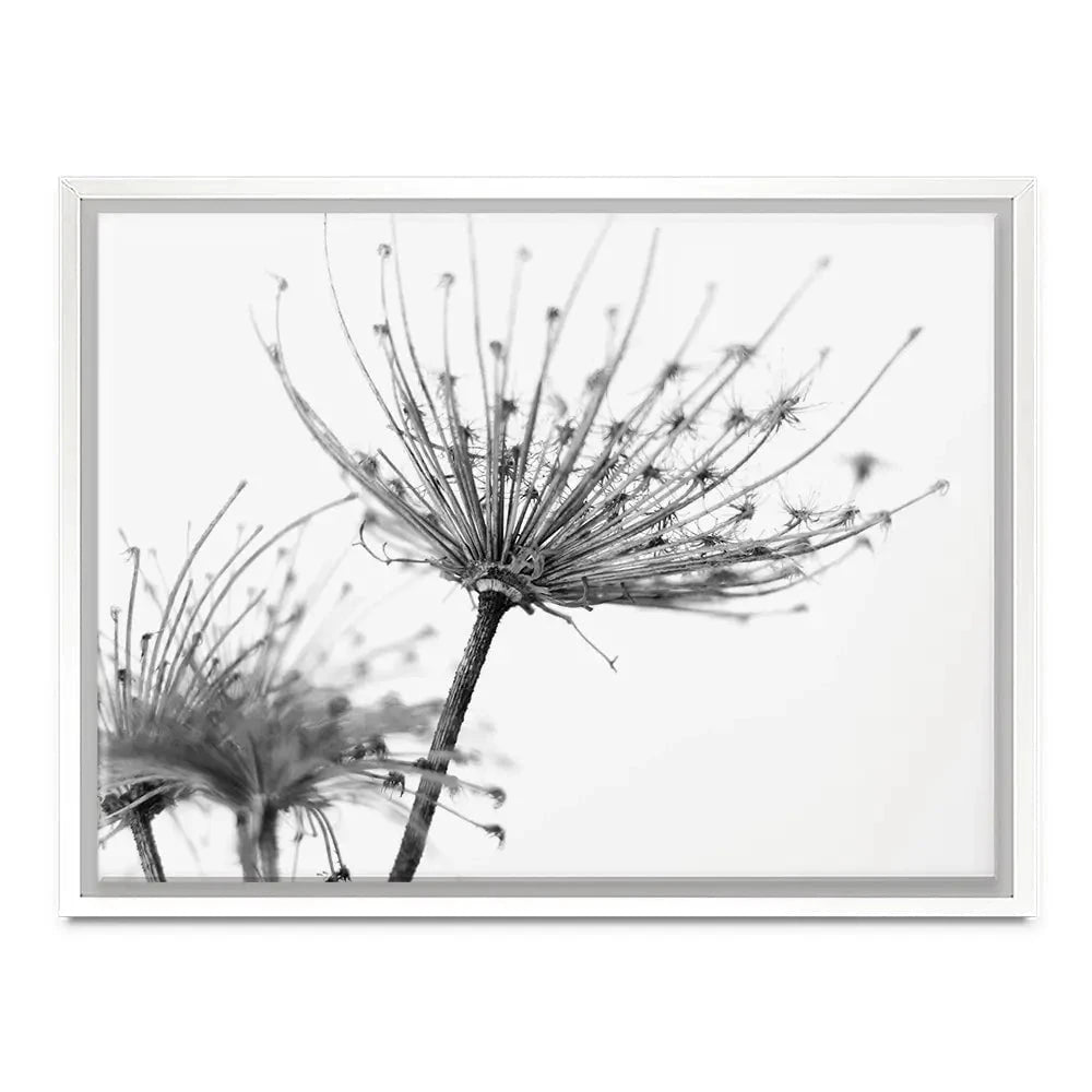 Black And White Dandelions Canvas Print Black And White Dandelions Canvas Print wall art product Dubova / Shutterstock