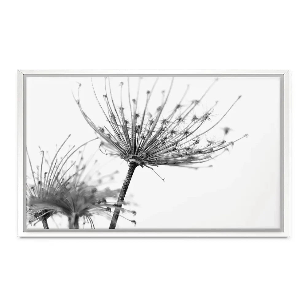 Black And White Dandelions Canvas Print Black And White Dandelions Canvas Print wall art product Dubova / Shutterstock
