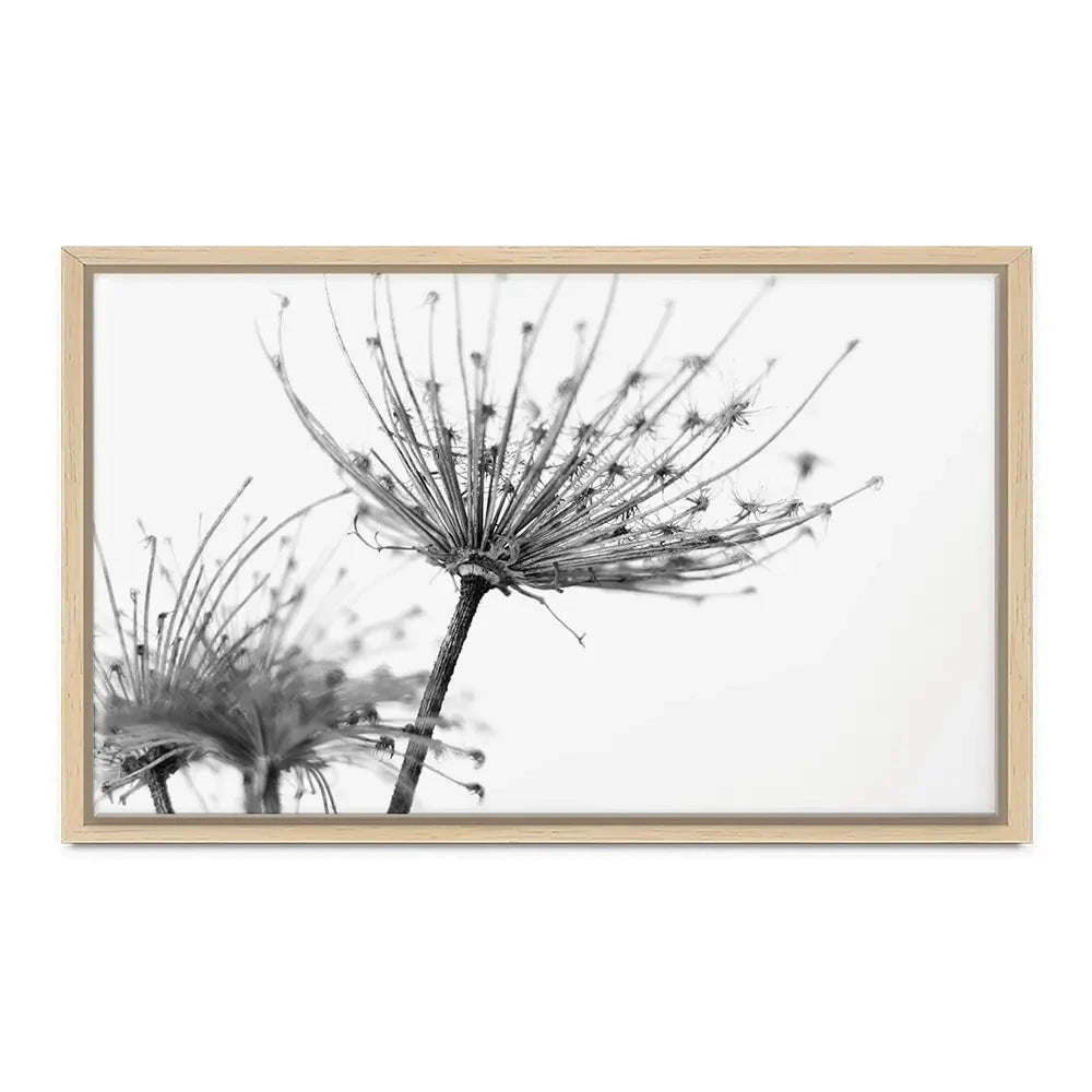 Black And White Dandelions Canvas Print Black And White Dandelions Canvas Print wall art product Dubova / Shutterstock