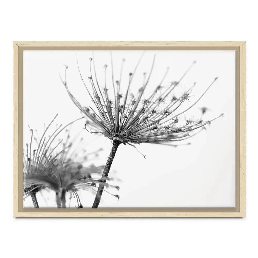 Black And White Dandelions Canvas Print Black And White Dandelions Canvas Print wall art product Dubova / Shutterstock