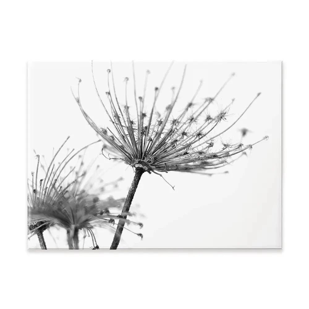 Black And White Dandelions Canvas Print Black And White Dandelions Canvas Print wall art product Dubova / Shutterstock