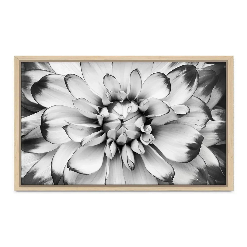 Black And White Flower Canvas Print Black And White Flower Canvas Print wall art product Annmarie Young / Shutterstock
