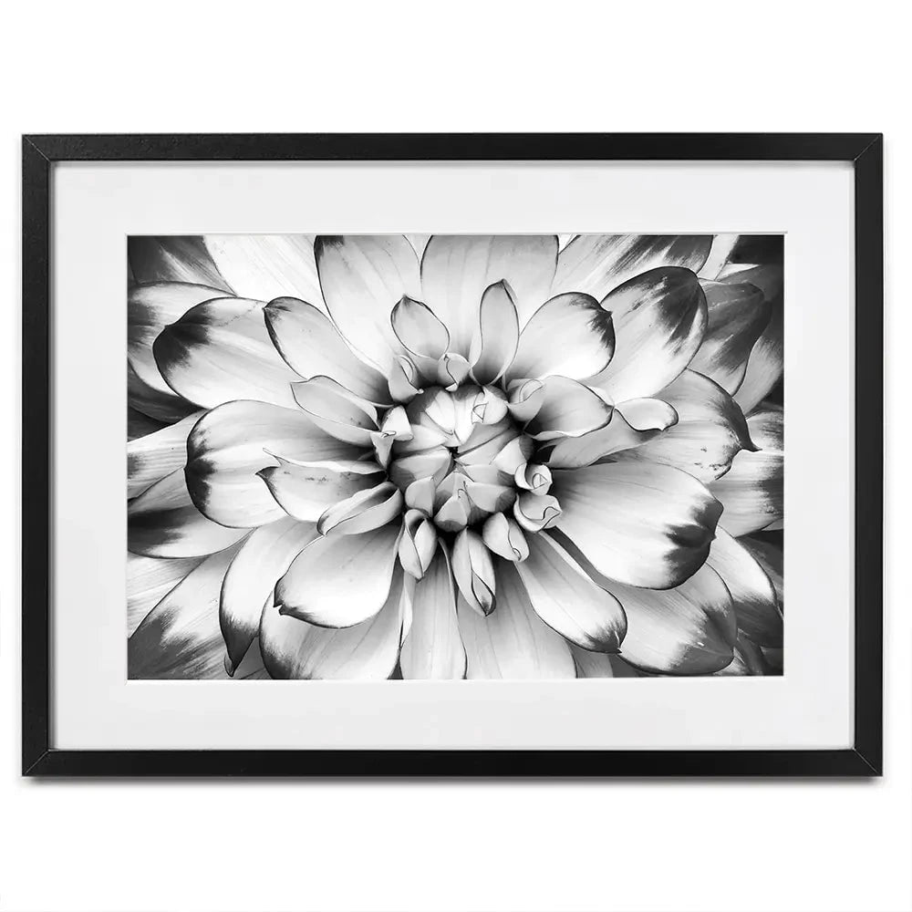 Black And White Flower Framed Art Print Black And White Flower Framed Art Print wall art product Annmarie Young / Shutterstock