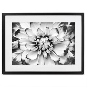 Black And White Flower Framed Art Print Black And White Flower Framed Art Print wall art product Annmarie Young / Shutterstock
