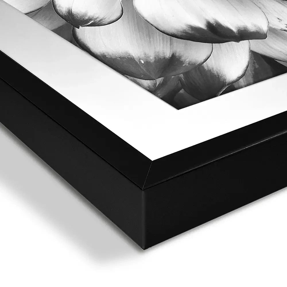 Black And White Flower Framed Art Print Black And White Flower Framed Art Print wall art product Annmarie Young / Shutterstock